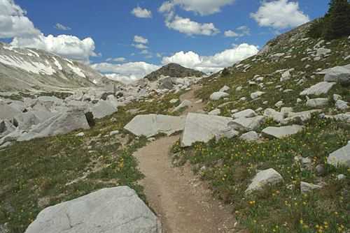 Trail along the Base of the Snowies 
